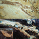 The foot of Anchiornis. Top image shows the foot under normal light. Bottom image shows the foot under laser light. Inset image shows the scaly details of a single footpad. (Image: Wang XL, Pittman M et al. 2017.)